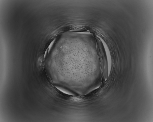 X0000086890425200705071227