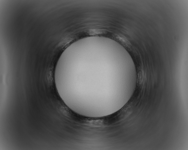 X0000086890426200705071227