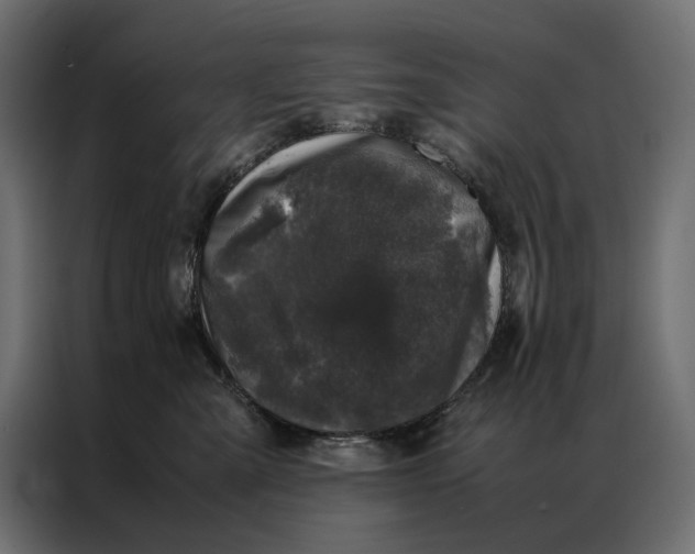 X0000086890427200705071227