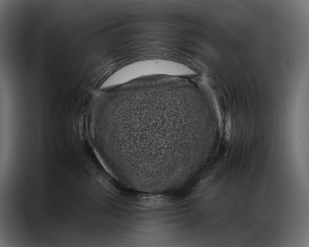 X0000086890428200705071227