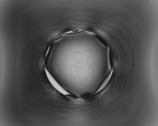 X0000086890429200705071227