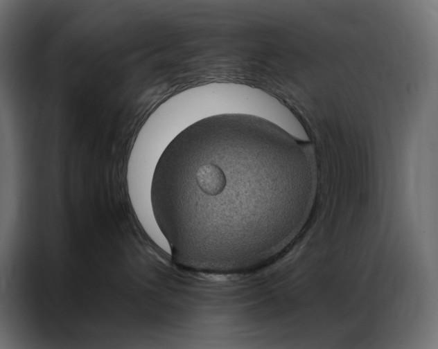 X0000086890432200705071227