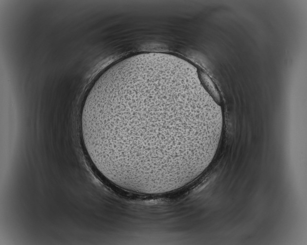 X0000086890433200705071226