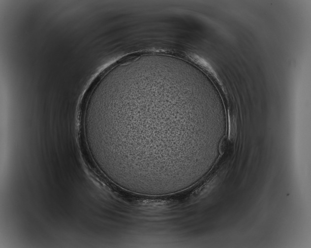 X0000086890435200705071226