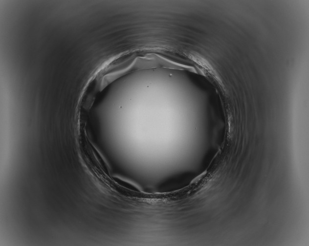 X0000086890436200705071226