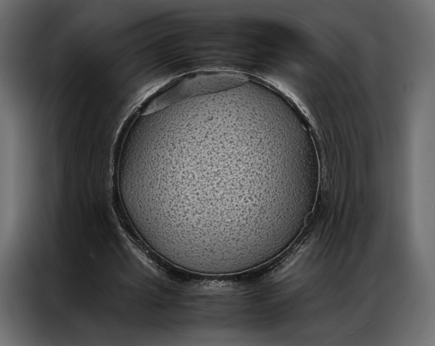 X0000086890437200705071226