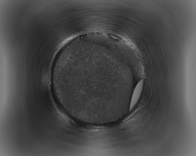 X0000086890438200705071226