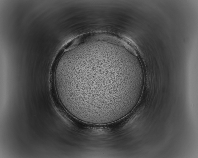 X0000086890439200705071226