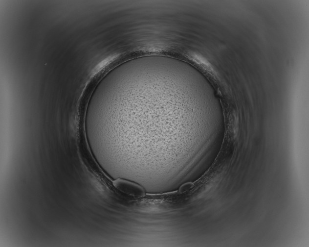 X0000086890440200705071226