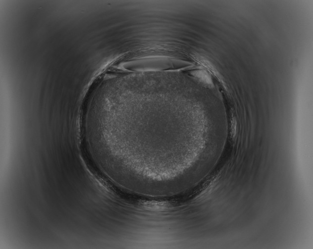 X0000086890444200705071226