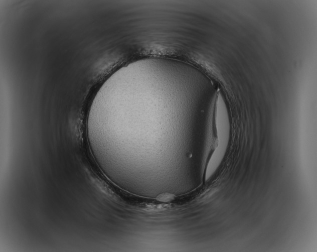 X0000086890450200705071226