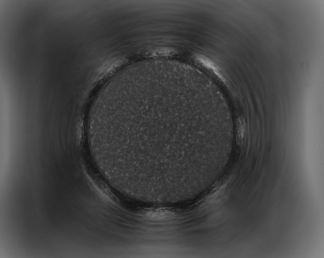 X0000086890451200705071226