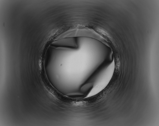 X0000086890452200705071226