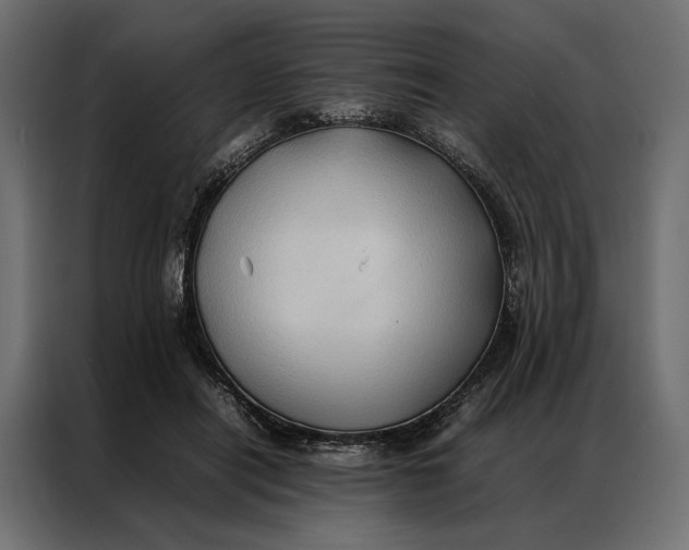 X0000086890454200705071226