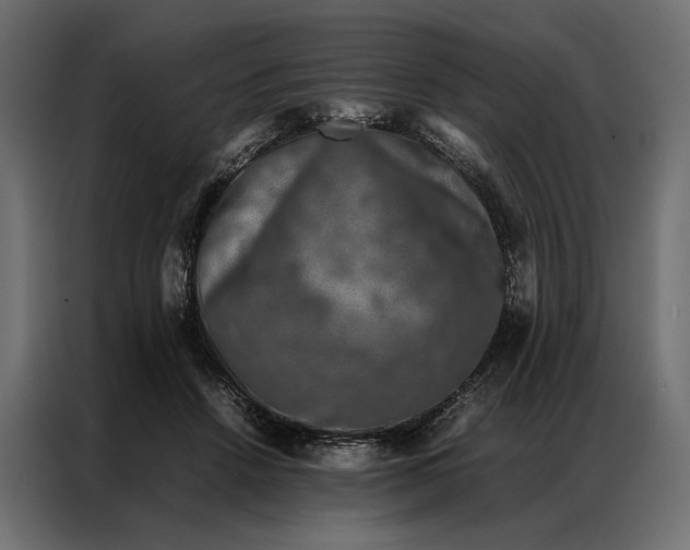 X0000086890456200705071226