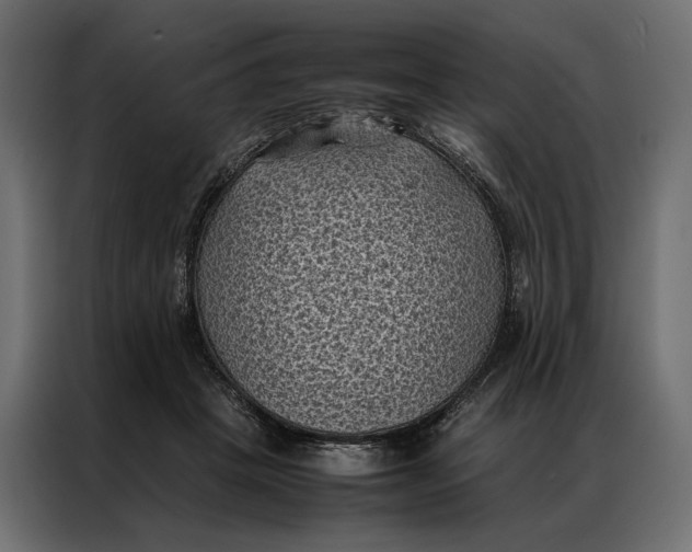 X0000086890457200705071226