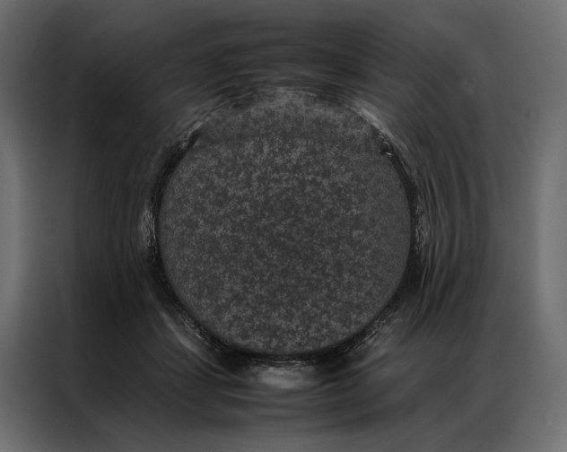 X0000086890459200705071226