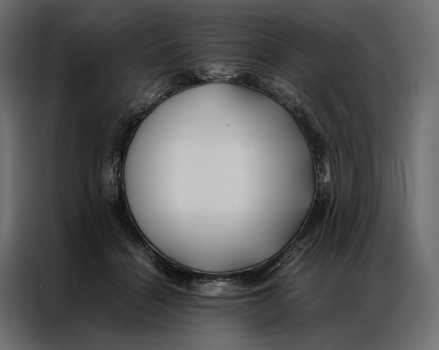 X0000086890460200705071226