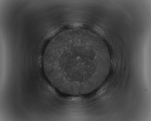 X0000086890462200705071226