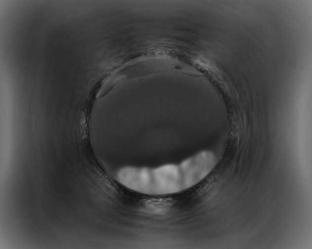 X0000086890465200705071226