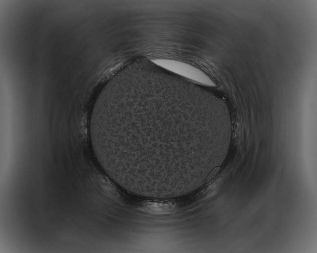 X0000086890466200705071226