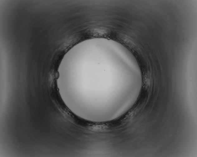 X0000086890468200705071226