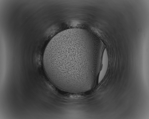 X0000086890470200705071226