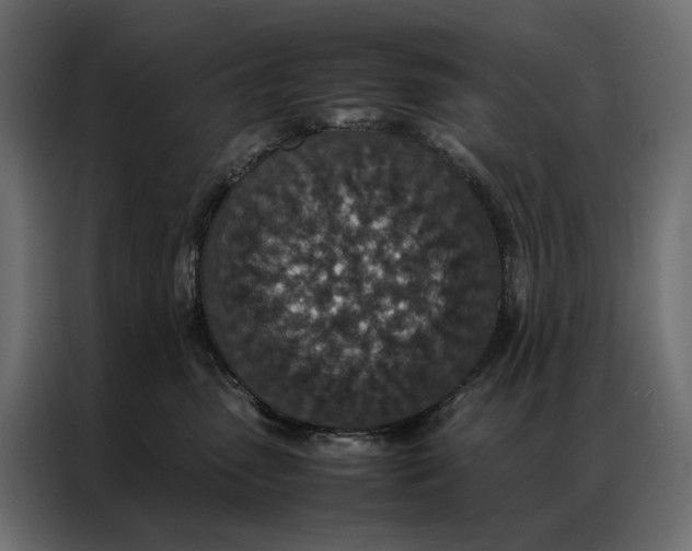 X0000086890475200705071226