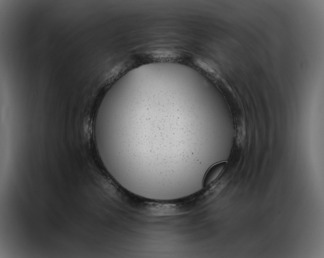 X0000086890476200705071226