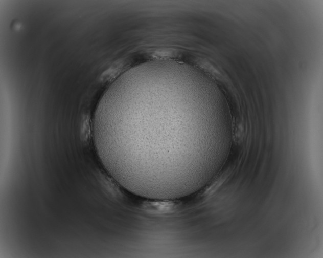 X0000086890478200705071226