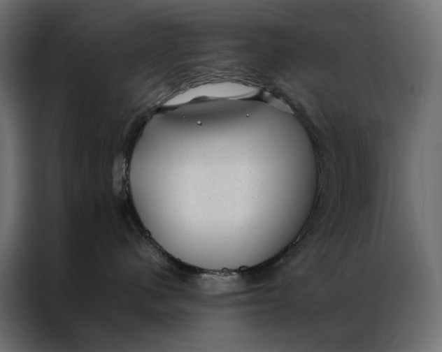 X0000086890480200705071227