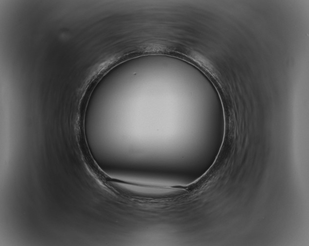 X0000086890485200705071226