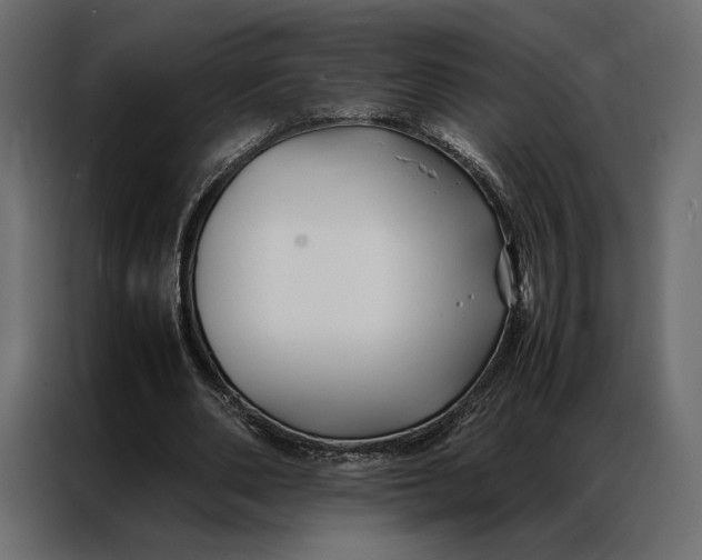 X0000086890486200705071226