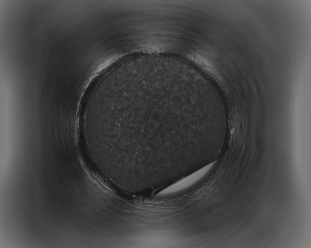 X0000086890488200705071226