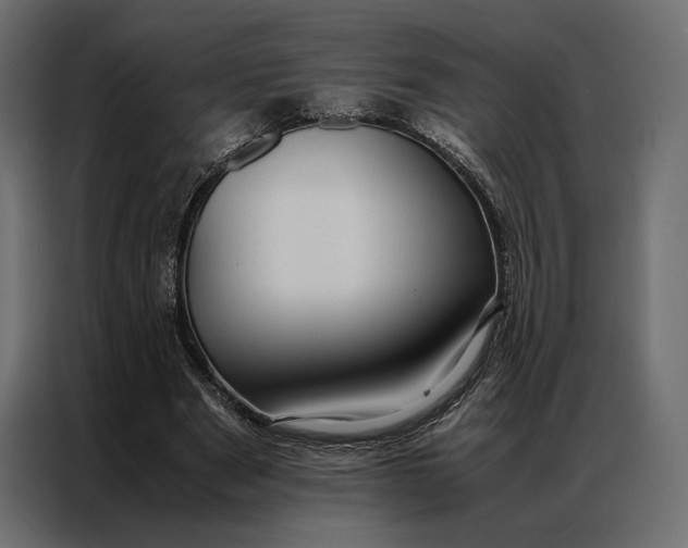 X0000086890489200705071226