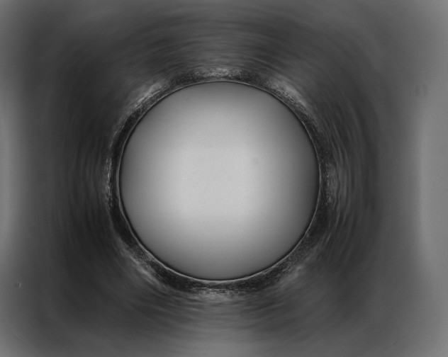 X0000086890490200705071226