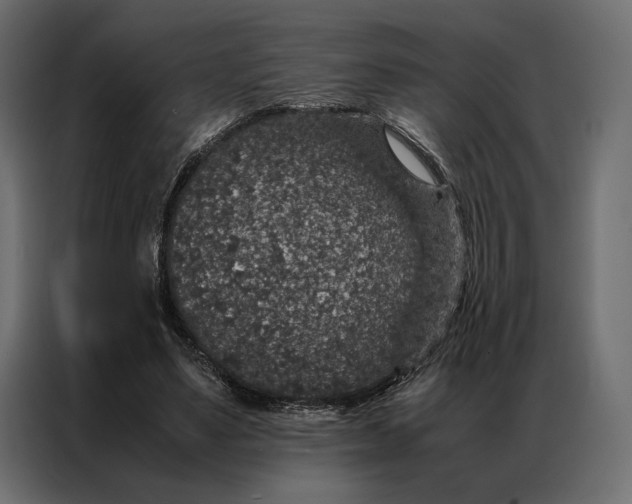 X0000086890491200705071226