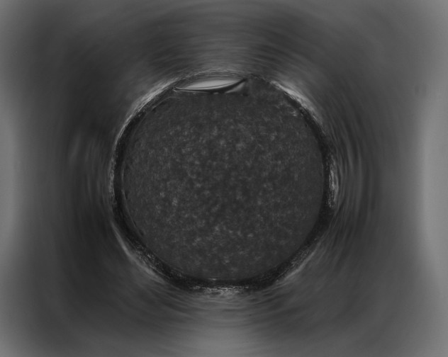 X0000086890492200705071226