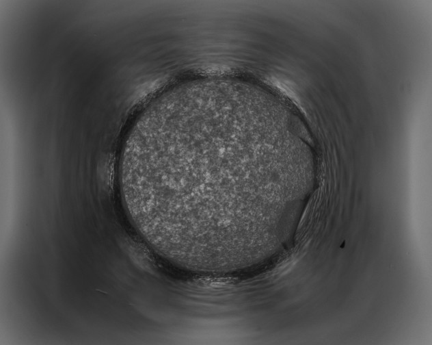 X0000086890495200705071226