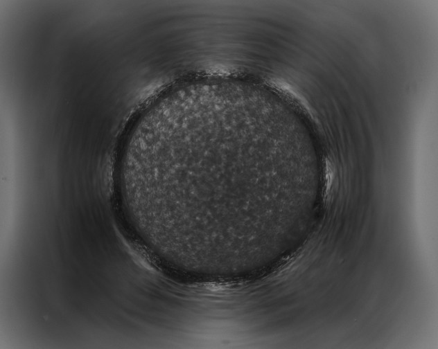 X0000086890496200705071226