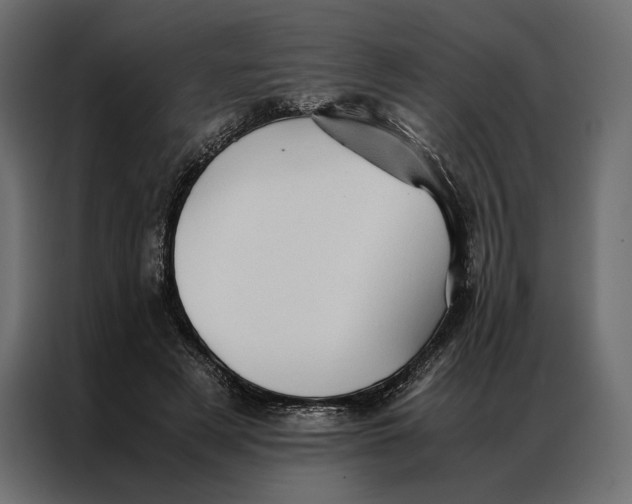 X0000086890497200705071226