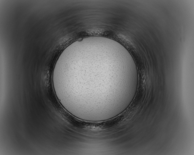 X0000086890498200705071226