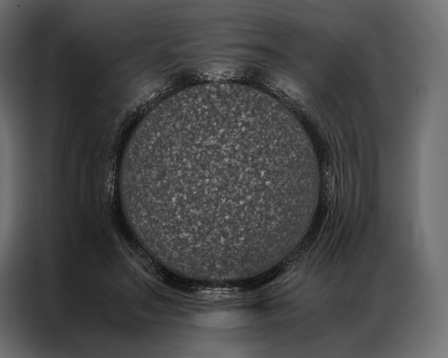 X0000086890499200705071226