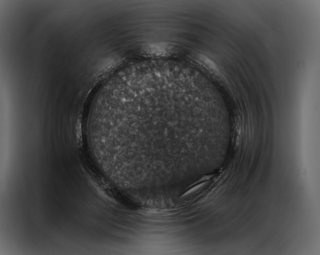 X0000086890500200705071226