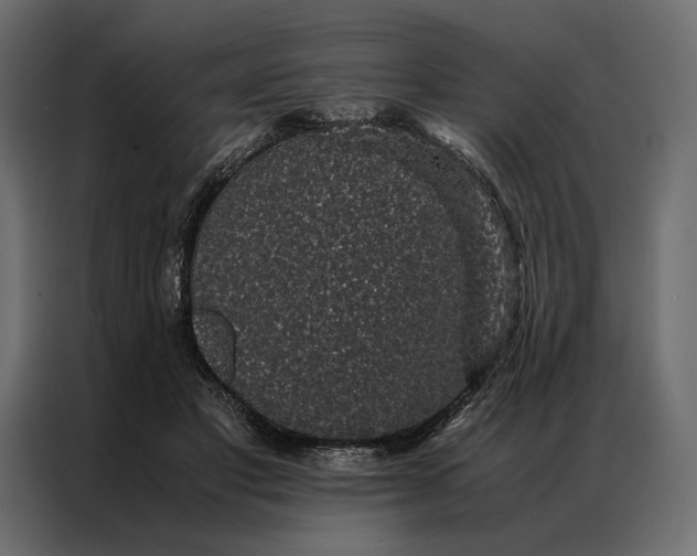 X0000086890501200705071225