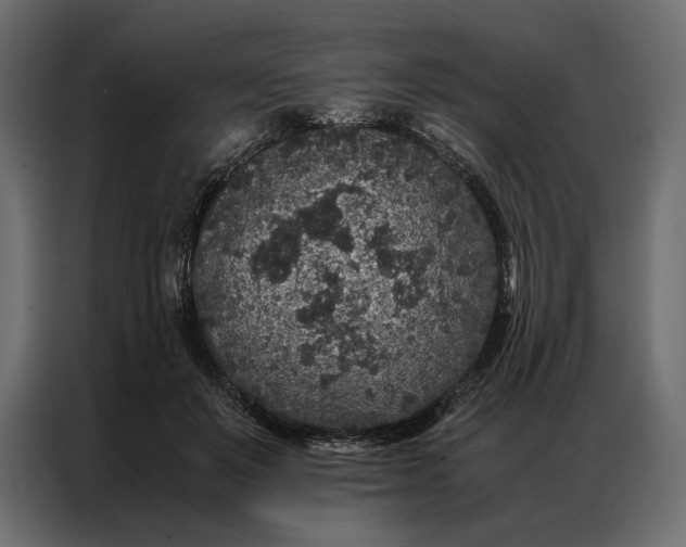 X0000086890503200705071225