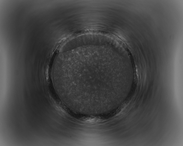 X0000086890504200705071225