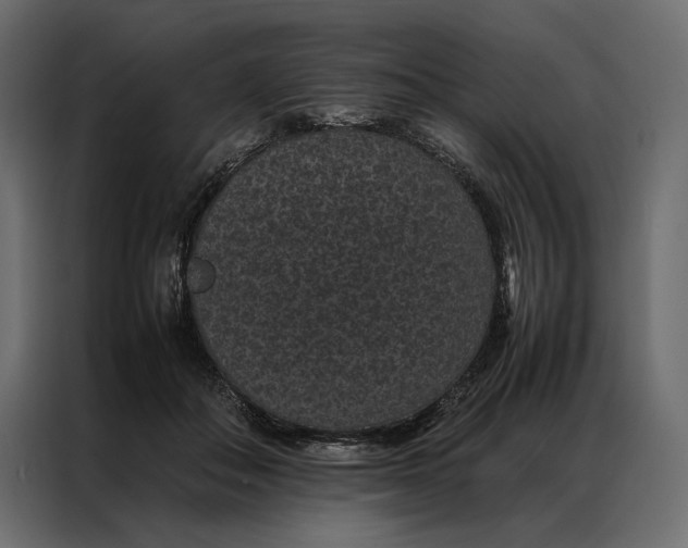 X0000086890506200705071225