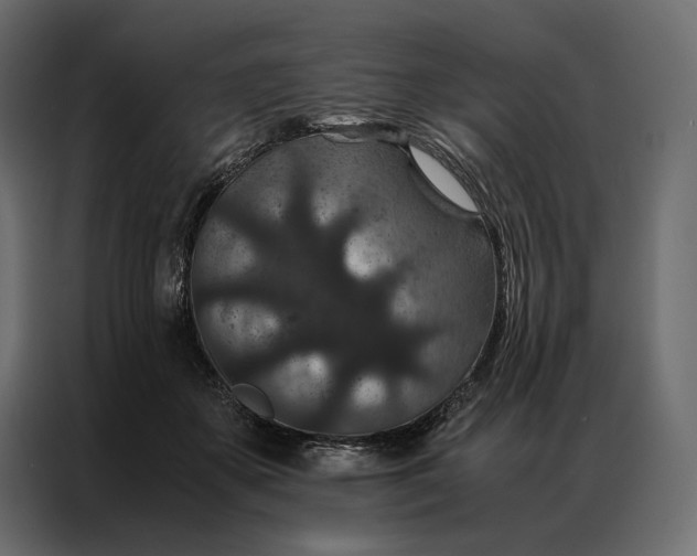 X0000086890507200705071225