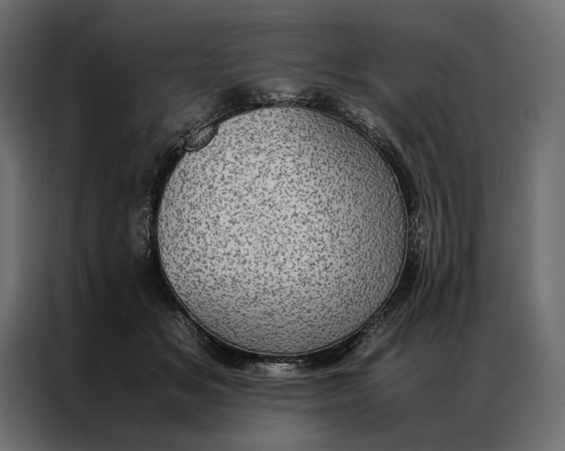 X0000086890509200705071225